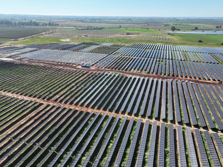 Dirección de Obra Plantas FV de 50 MWp en el T.M.