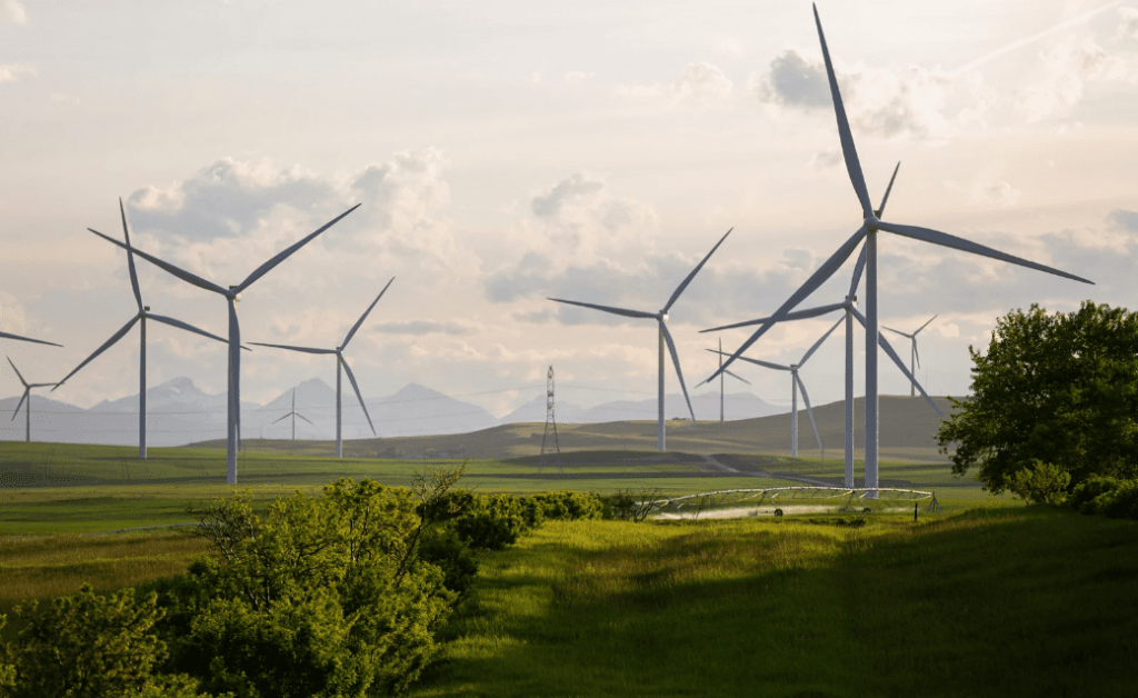 Molinos de viento energía eólica cielo y campo ingnova