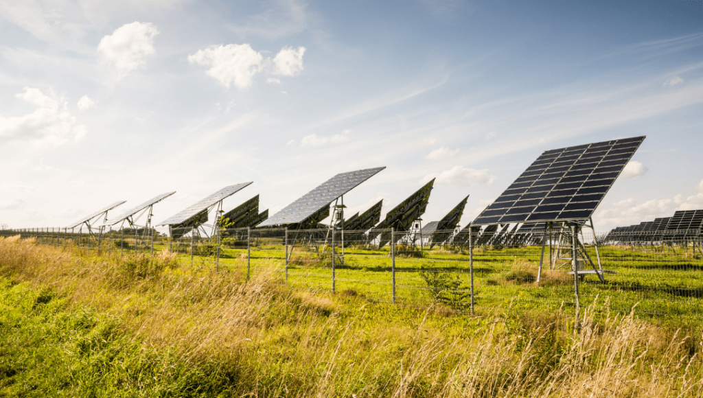 paneles solares fotovoltaica campo ingnova